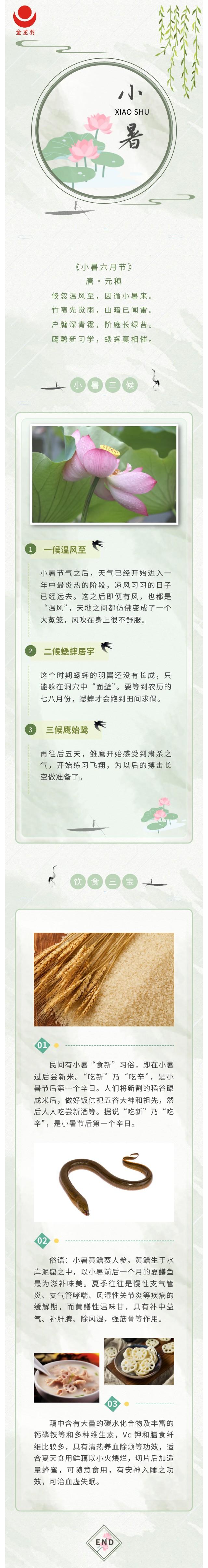 18����luck��(�й�)-�ٷ���վ